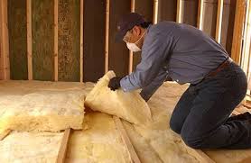 Best Insulation for Existing Homes  in De Leon, TX