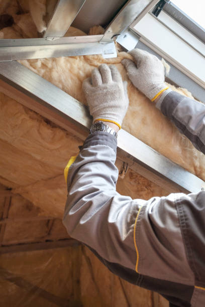 Best Garage Insulation  in De Leon, TX