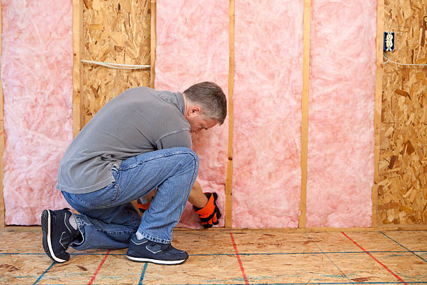 Best Spray Foam Insulation  in De Leon, TX