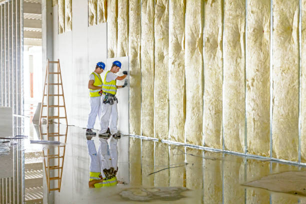 Best Insulation Air Sealing  in De Leon, TX